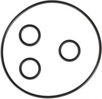 Werkstatt & Lagerung O-RINGSET DUPLEX KETTENR. E-RIDER CONWAY