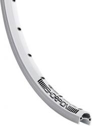 Werkstatt & Lagerung FELGE RODI SKORPION 19-62 2 36-LOCH DV SILBER