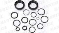 Sram  AM FORK SERVICE KIT, BASIC (INCLUDES DUST SEALS, FOAM RINGS,O-RING SEALS) - RS1
