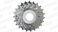 Werkstatt & Lagerung MICHE CAMPAGNOLO 8 FACH KASSETTE 14-23 Z.