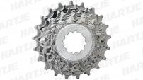 Werkstatt & Lagerung MICHE CAMPAGNOLO 8 FACH KASSETTE 12-21 Z.