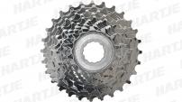 Werkstatt & Lagerung MICHE CAMPAGNOLO 10 FACH KASSETTE 13-28 Z.
