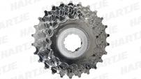 Werkstatt & Lagerung MICHE CAMPAGNOLO 10 FACH KASSETTE 16-26 Z.