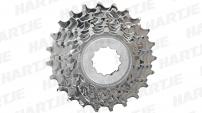 Werkstatt & Lagerung MICHE CAMPAGNOLO 8 FACH KASSETTE 13-23 Z.