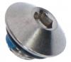 Shimano  Oil Port Bolt (Silver) & O-Ring A
