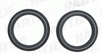 Sram Domain/Lyrik Dust Seal/Oil Seal Kit
