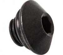 Shimano  Oil Port Bolt (Black) & O-Ring
