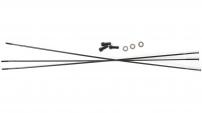 Sram Spokes & Nipples & Washers 3-pack 298mm CX-Ray Straight-Pull External Black - Rise 60 (B1) 29”